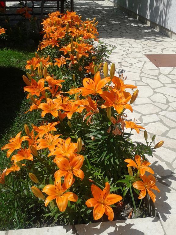 Apartment And Rooms Markovic Senj  Rom bilde